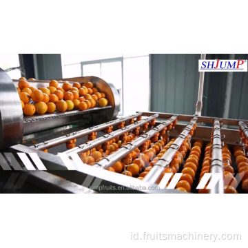 Jalur produksi buah -buahan kering